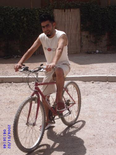 2006
